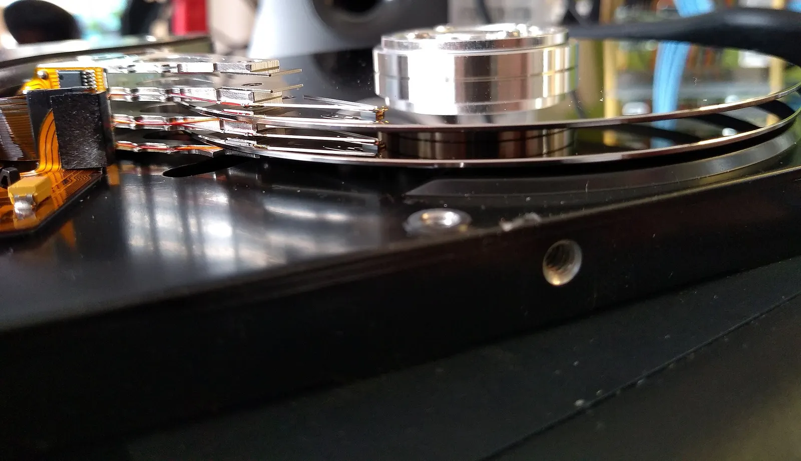 Open hard disk drive showing the platter and head