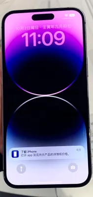 iPhone 14 Pro Max