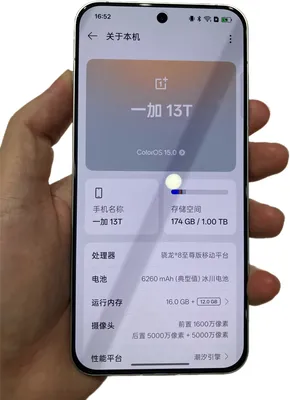 OnePlus 13T phone