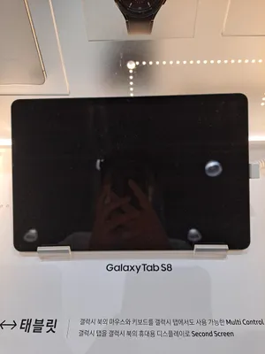 Samsung Galaxy Tab S8