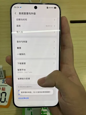 Vivo X300 Pro 5G phone