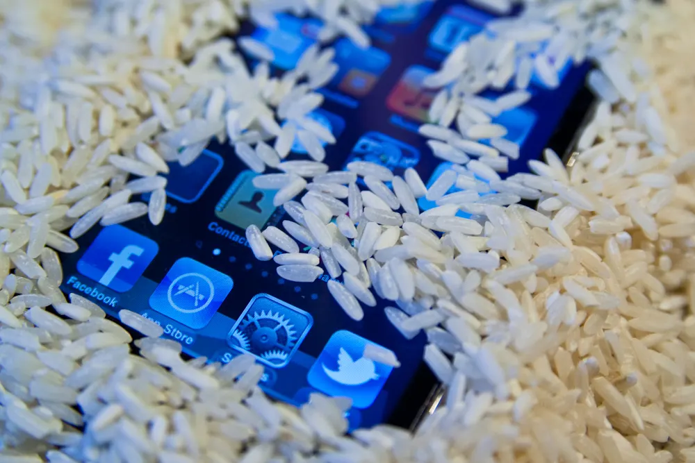 Phone kept in rice after getting wet