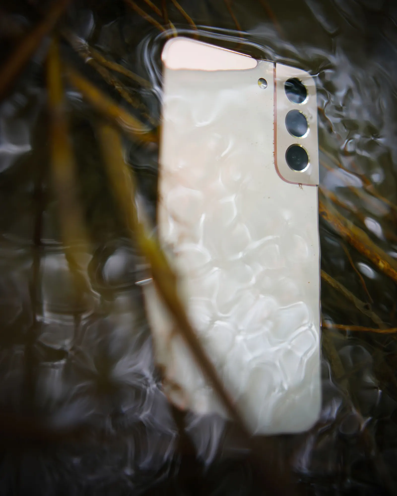 Phone dropped in water